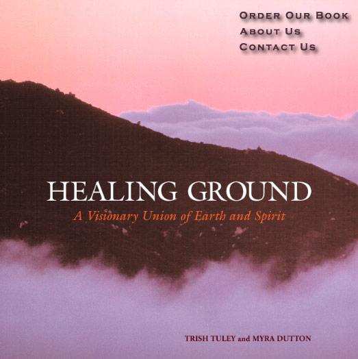 Order Our Book